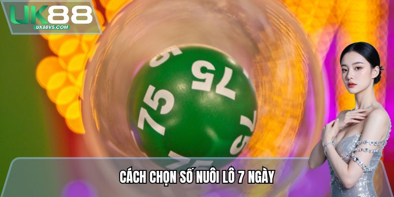 Cách chọn số Nuôi lô 7 ngày