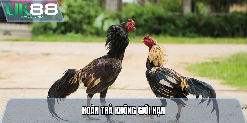 Hoàn trả không giới hạn