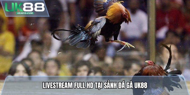 Livestream Full HD tại sảnh đá gà UK88