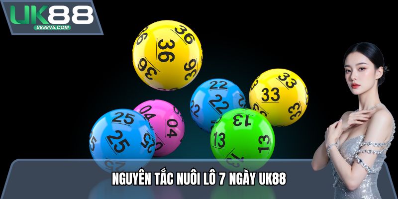 Nguyên tắc Nuôi lô 7 ngày UK88
